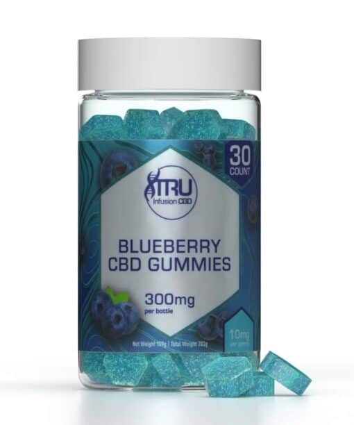 Tru Infusion 10mg Blueberry CBD Gummies - 30 Count