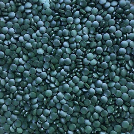 SPIRULINA-TABLETS